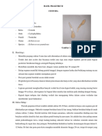 Parasitologi Cestoda 1 18