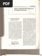 Ângelo Machado - Neuroanatomia - Alguns aspectos da filogênese do sistema nervoso