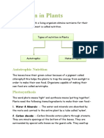 Nutrition in Plants