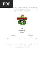 Download LAPORAN PENDAHULUAN VERTIGO by muarifudinalhabib SN52456463 doc pdf