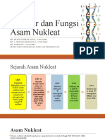 Struktur dan Fungsi Asam Nukleat