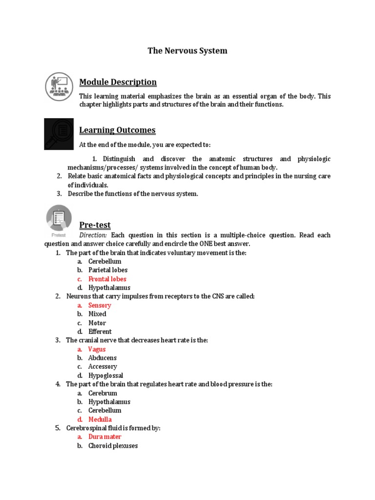 Understanding the Nervous System | PDF | Nervous System | Neuron