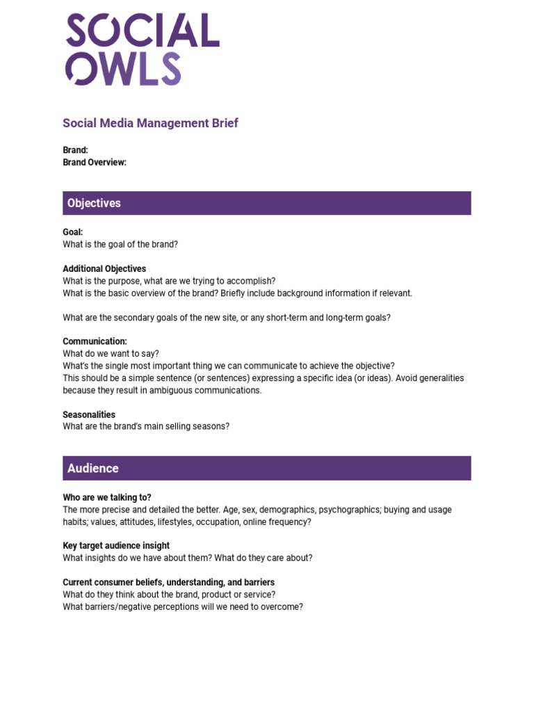 Social Media Management Strategy Brief | PDF | Brand | Target Audience
