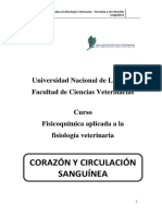 Actividad 3 - Corazón y Circulación Sanguínea