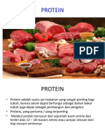 Protein Dalam Bahan Pangan