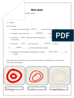 Sayed Daniyal Ali - Blood-Vessels-worksheet