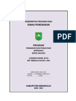 Program Remedial Ok