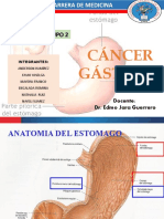 Cancer Gastrico