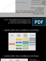 Apresentação - Gestão Ambiental - Cadeia Causal