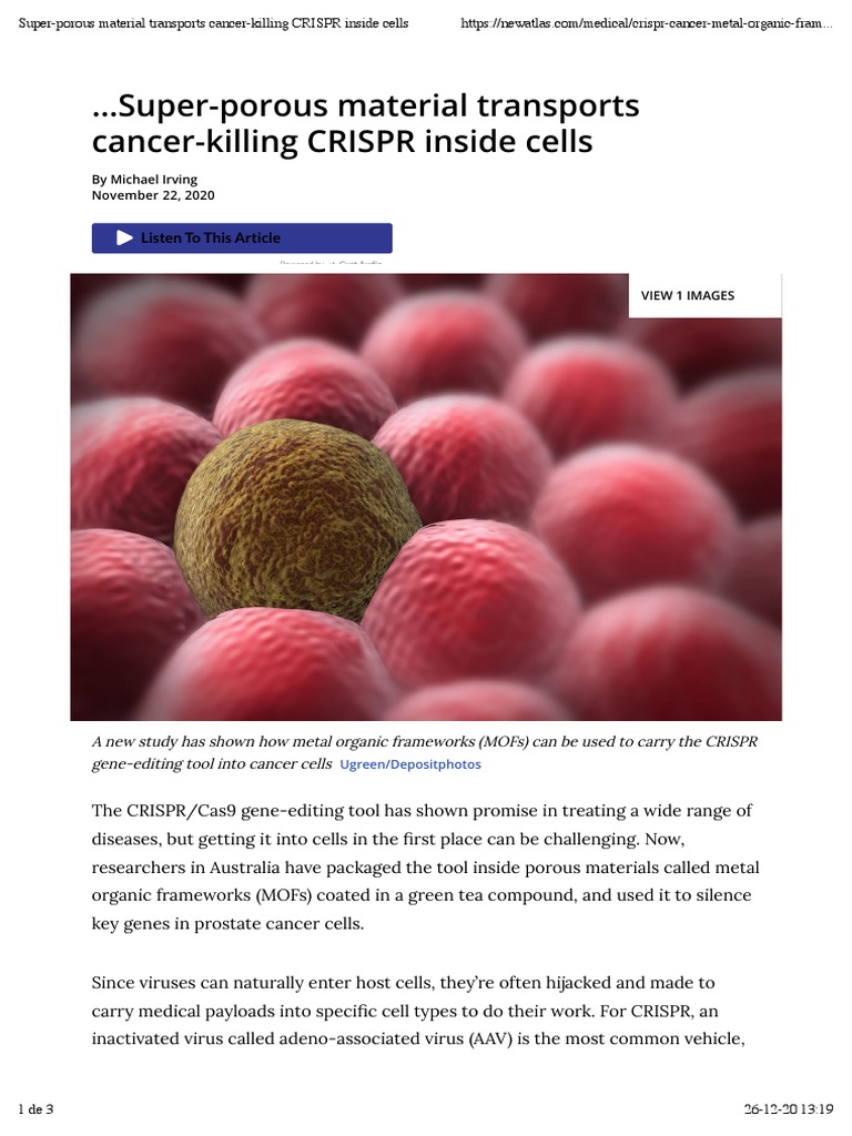 Super-Porous Material Transports Cancer-Killing CRISPR Inside Cells ...