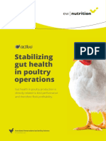Stabilizing Gut Health in Poultry Operations