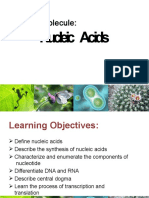 Organic Molecule:: Nucleic Acids