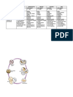 BARTONELOSIS