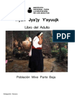Ayuk Jya'jy Y'ayuujk-Población Mixe Parte Baja