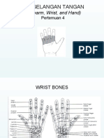 Pergelangan Tangan: (Forearm, Wrist, and Hand)