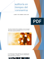 La Auditoría en Tiempos Del Coronavirus