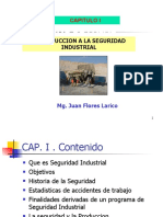 Cap I Seguridad Industrial