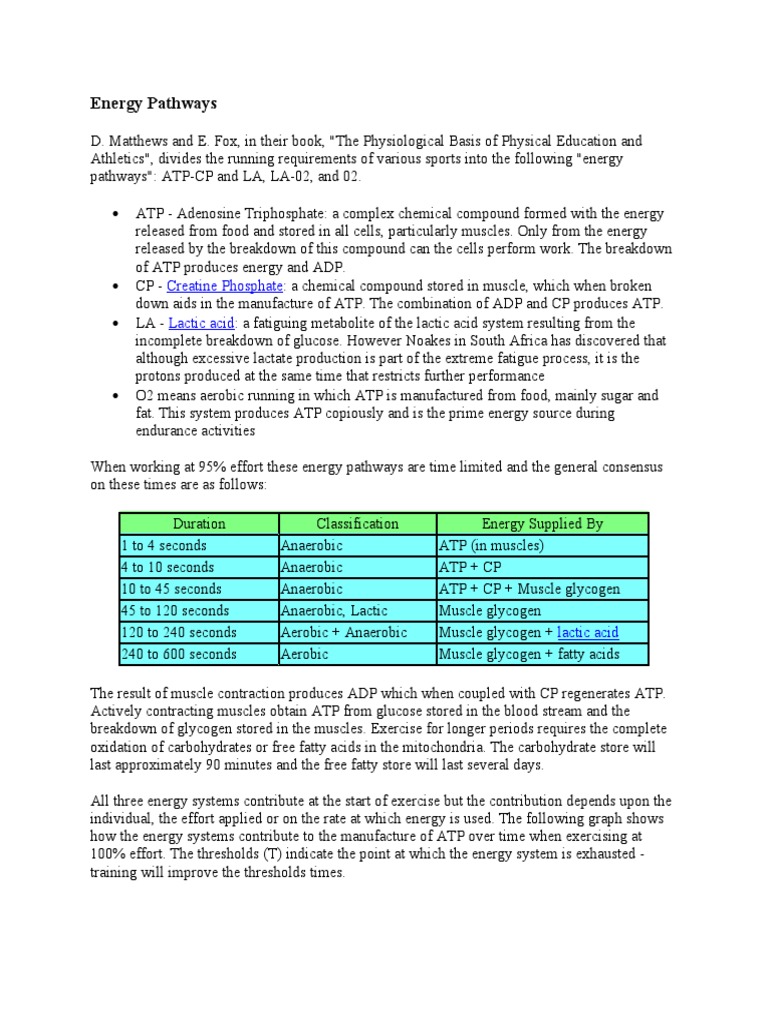 Athletic Energy Systems Guide | PDF | Adenosine Triphosphate | Muscle