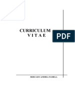 curriculummodelcliente - copia