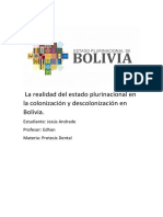 La Realidad Del Estado Plurinacional en La Colonización y Descolonización en Bolivia