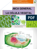 s2 Celula Vegetal