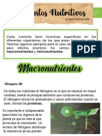 Algunos Elementos Nutritivos y Sus Funciones - Wendy Salazar, Audryth Nicholson, Anna Testa