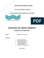 Vocabulario Auditoria Del Medio Ambiente - Semana2