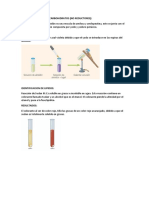 Identificacion de Los Biomoleculas