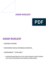 II. Asam Nukleat