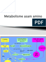 Kuliah 5,6 - Metabolisme Asam Amino