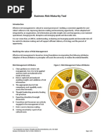 Business Risk Maturity Tool V1 FINAL 2020.01.21