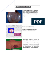 Láminas de Anatomia Patológica I