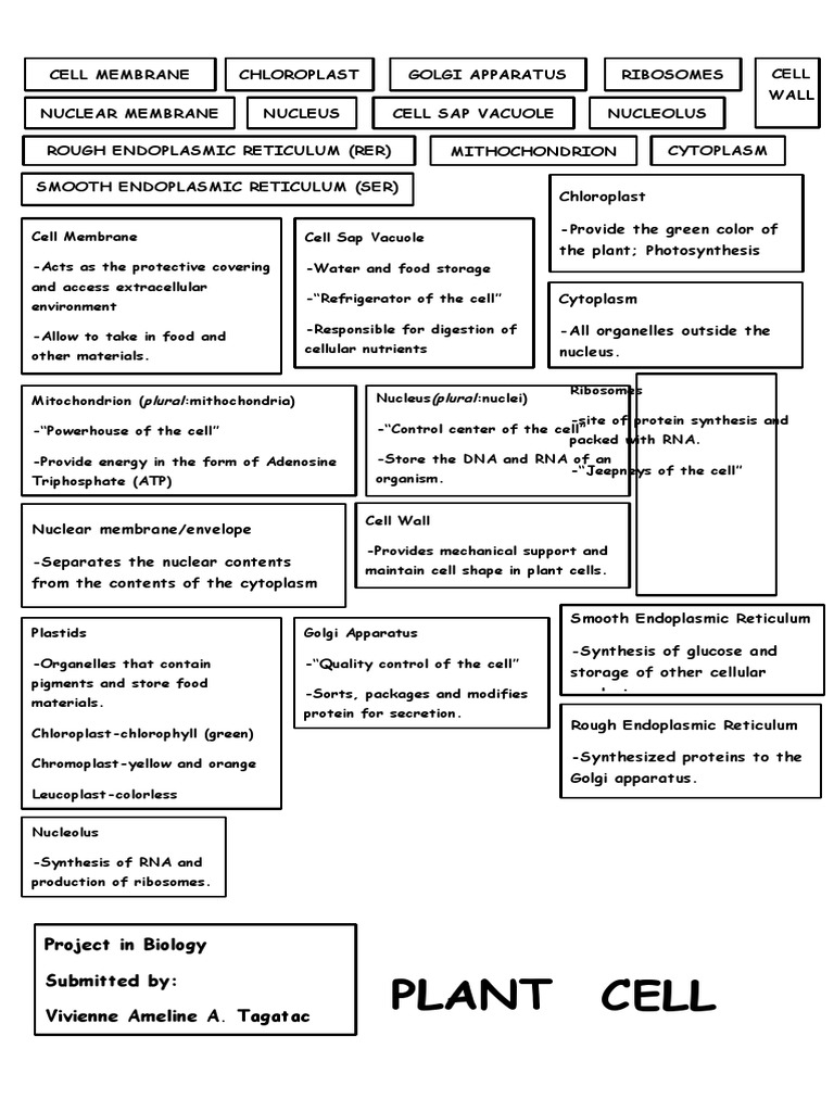 Plant Cell Label PDF Cell (Biology) Cell Nucleus