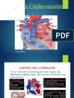 Sistema Cardiovascular Dra Perez 2019