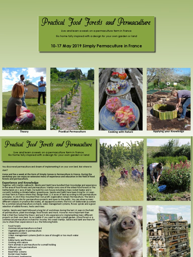 Adventures in pressure canning - Milkwood: permaculture courses