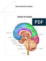 Anatomy and Physiology of Brain