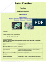 PLANTAS MEDICINALES II HTTP - WWW - Webcolombia.com - Plantascurativas - Introduccion