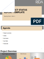 ERP Project Status Report-Template