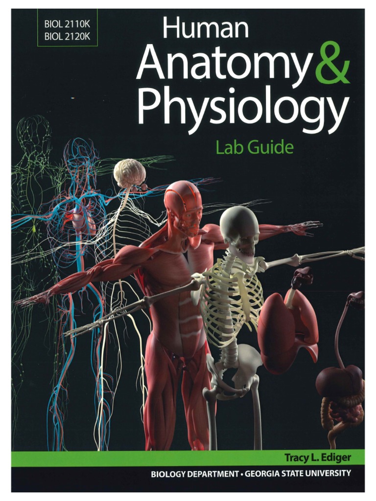 Tracy L. Ediger - Human Anatomy & Physiology Lab Guide-Bluedoor, LLC ...