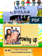 Human Life Cycle