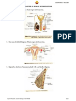 Chapter-3: Human Reproduction: 1. Draw A Neat Labelled Diagram of Male Reproductive System