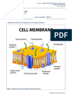The Cell Structure: Worksheet No. 2 Name Angel Rose R. Rico Course/Year/Block BSFT-2A