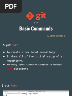 Git Basic Commands