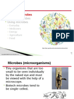 Lec 12 - Microbes in Biotech