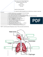 TEST II. Label The Parts of Respiratory System. Write Your Answer Inside The Box