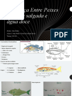 Diferenças Entre Peixes Salgados, Doce