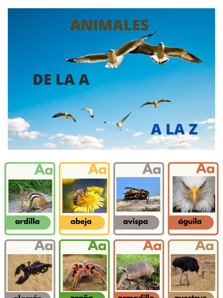Animales De La A A La Z , Animales Terrestres: Lista de Animales de ...
