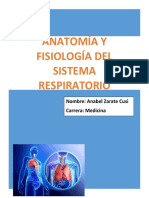 Anatomía y fisiología del sistema respiratorio