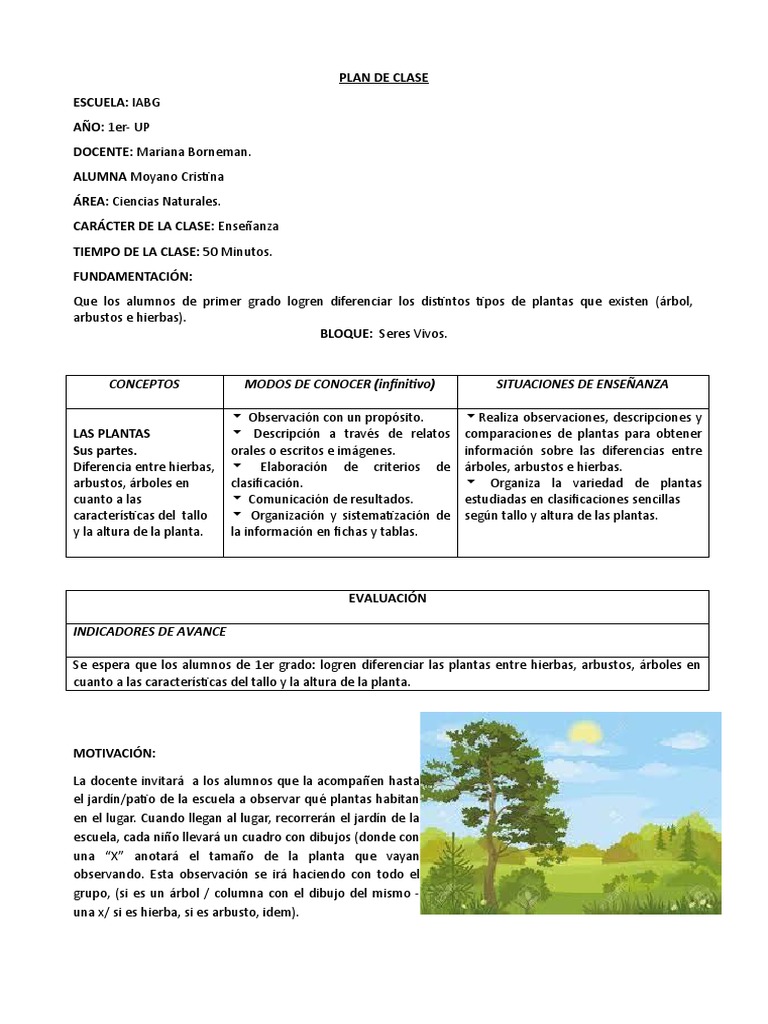 TP #9 - Plan de Clase - Las Plantas | PDF | Plantas | Tallo de la planta