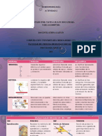 Actividad 2 Morfofisiologia